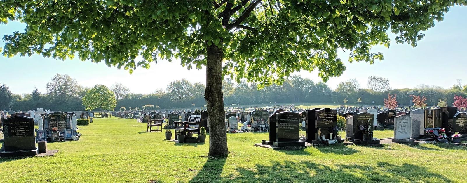 Graves at Oak Hill with a tree in front of them